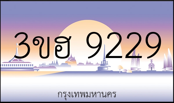 3ขฮ 9229